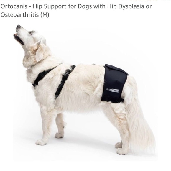 Ortocanis Hip Support for Dog - Picture 15 of 15